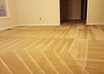 carpet-cleaning-gallery